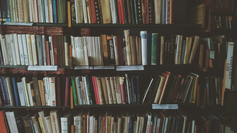 librairie-ST AUBAN-min_bookcase-1869616