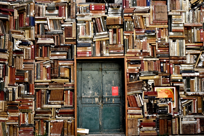 librairie-ST AUBAN-min_books-1655783