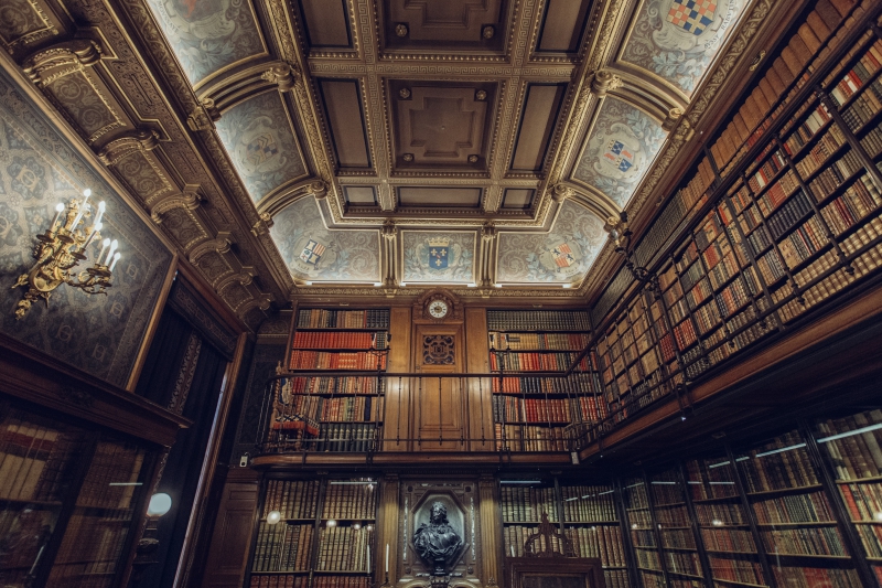 librairie-ST AUBAN-min_library-863148